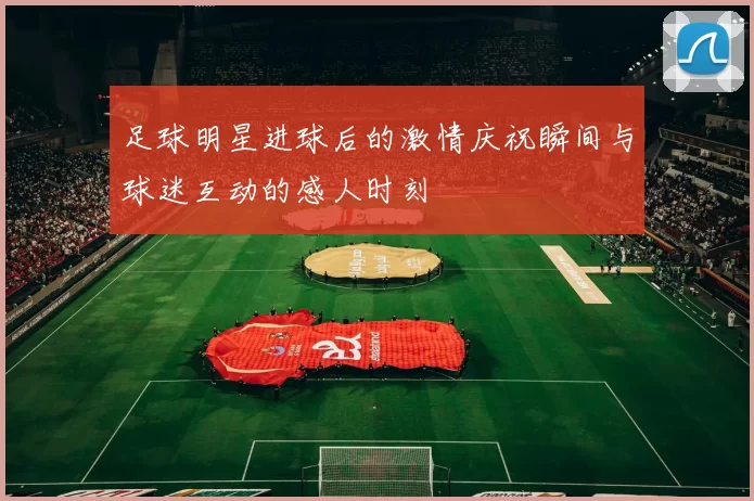 足球明星进球后的激情庆祝瞬间与球迷互动的感人时刻