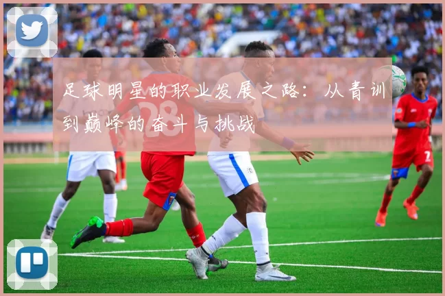 足球明星的职业发展之路：从青训到巅峰的奋斗与挑战