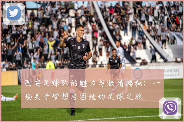 西安足球队的魅力与激情揭秘：一场关于梦想与团结的足球之旅