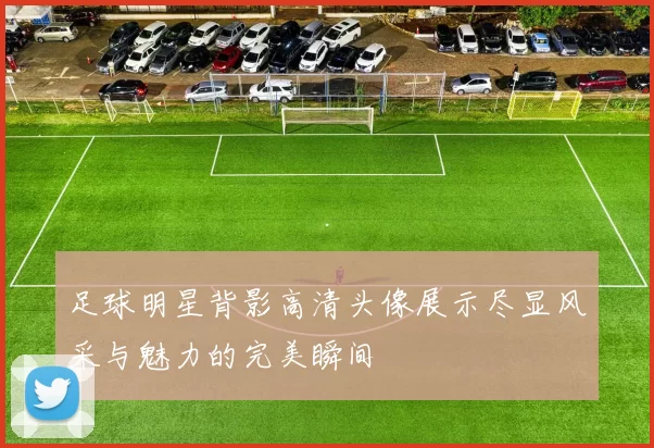 足球明星背影高清头像展示尽显风采与魅力的完美瞬间