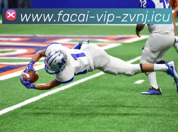 MK体育注册发展历程